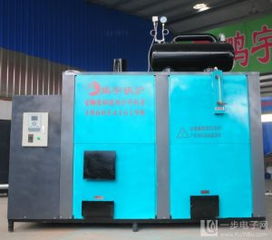 食用菌專用蒸汽環保鍋爐 綠色高效，助力食用菌產業可持續發展