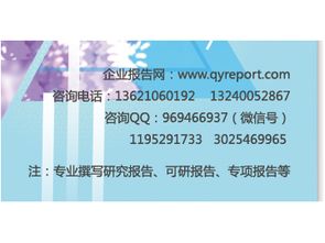 2017-2023年雙飛人藥水市場營銷模式分析與投資商機報告